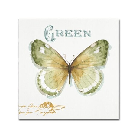 Trademark Fine Art Lisa Audit 'My Greenhouse Butterflies IV' Canvas Art, 24x24 WAP0472-C2424GG